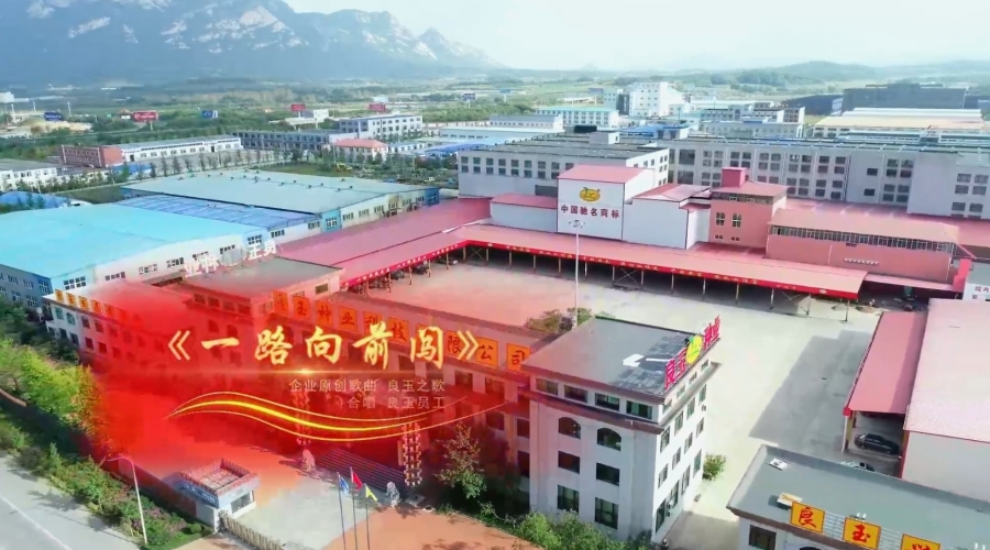 2023丹东良玉种业之歌